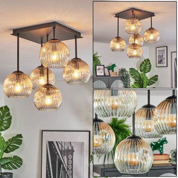 Ripoll Plafondlamp, Kogellampje Amber, Duidelijk, 5-lichts