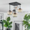 Ripoll Plafondlamp, Kogellampje Amber, Duidelijk, Rookkleurig, 5-lichts