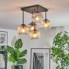 Ripoll Plafondlamp, Kogellampje Amber, Duidelijk, Rookkleurig, 5-lichts