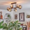 Koyoto Plafondlamp, Kogellampje Duidelijk, Rookkleurig, 6-lichts