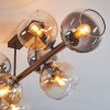 Koyoto Plafondlamp, Kogellampje Amber, Duidelijk, Rookkleurig, 8-lichts