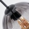 Koyoto Hanglamp, Kogellampje, Hanglamp Duidelijk, Rookkleurig, 6-lichts