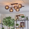 Koyoto Plafondlamp, Kogellampje Zwart, 5-lichts
