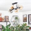 Koyoto Plafondlamp, Kogellampje Amber, Duidelijk, Rookkleurig, 6-lichts