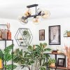 Koyoto Plafondlamp, Kogellampje Amber, Duidelijk, Rookkleurig, 6-lichts