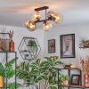 Koyoto Plafondlamp, Kogellampje Amber, Duidelijk, Rookkleurig, 6-lichts