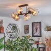 Koyoto Plafondlamp, Kogellampje Amber, Duidelijk, Rookkleurig, 6-lichts