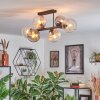 Koyoto Plafondlamp, Kogellampje Amber, Duidelijk, Rookkleurig, 6-lichts