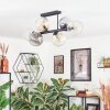 Koyoto Plafondlamp, Kogellampje Amber, Duidelijk, Rookkleurig, 6-lichts