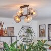 Koyoto Plafondlamp, Kogellampje Amber, Duidelijk, Rookkleurig, 6-lichts