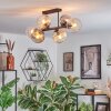 Koyoto Plafondlamp, Kogellampje Amber, Duidelijk, Rookkleurig, 6-lichts
