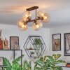 Koyoto Plafondlamp, Kogellampje Amber, Duidelijk, 6-lichts
