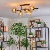 Koyoto Plafondlamp, Kogellampje Amber, Duidelijk, 5-lichts