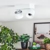 Narel Plafondlamp, Plafondspot LED Wit, 2-lichts