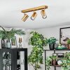 Javel Plafondlamp, Plafondspot Goud, 3-lichts