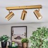 Javel Plafondlamp, Plafondspot Goud, 3-lichts
