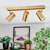 Javel Plafondlamp, Plafondspot Goud, 3-lichts