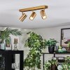 Javel Plafondlamp, Plafondspot Goud, 3-lichts