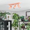 Javel Plafondlamp, Plafondspot Roze, Wit, 3-lichts