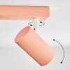 Javel Plafondlamp, Plafondspot Roze, Wit, 3-lichts