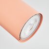 Javel Plafondlamp, Plafondspot Roze, Wit, 3-lichts