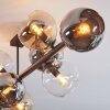 Koyoto Plafondlamp, Kogellampje Amber, Chroom, Duidelijk, Rookkleurig, 8-lichts