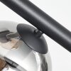 Koyoto Plafondlamp, Kogellampje Amber, Duidelijk, Rookkleurig, 8-lichts