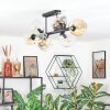 Koyoto Plafondlamp, Kogellampje Amber, Duidelijk, Rookkleurig, 8-lichts