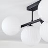 Chehalis Plafondlamp, Kogellampje Zwart, 5-lichts