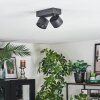 Narel Plafondlamp, Plafondspot LED Zwart, 2-lichts