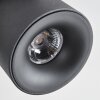 Narel Plafondlamp, Plafondspot LED Zwart, 2-lichts