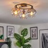 Koyoto Plafondlamp, Kogellampje Amber, Duidelijk, Rookkleurig, 3-lichts