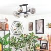 Koyoto Plafondlamp, Kogellampje Duidelijk, Rookkleurig, 6-lichts