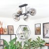 Koyoto Plafondlamp, Kogellampje Duidelijk, Rookkleurig, 6-lichts