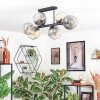 Ripoll Plafondlamp, Kogellampje Amber, Duidelijk, Rookkleurig, 6-lichts