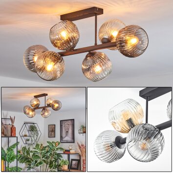 Ripoll Plafondlamp, Kogellampje Amber, Duidelijk, Rookkleurig, 6-lichts