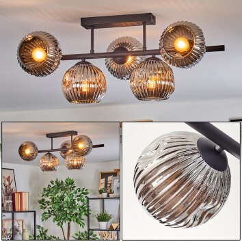 Ripoll Plafondlamp, Kogellampje Chroom, Rookkleurig, 5-lichts