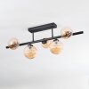 Chehalis Plafondlamp, Kogellampje Zwart, 5-lichts