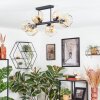 Ripoll Plafondlamp, Kogellampje Amber, Duidelijk, 6-lichts