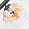 Ripoll Plafondlamp, Kogellampje Amber, Duidelijk, 6-lichts