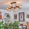 Ripoll Plafondlamp, Kogellampje Amber, Duidelijk, 6-lichts
