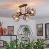 Ripoll Plafondlamp, Kogellampje Duidelijk, Rookkleurig, 6-lichts