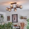 Ripoll Plafondlamp, Kogellampje Duidelijk, Rookkleurig, 6-lichts