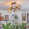 Ripoll Plafondlamp, Kogellampje Amber, Duidelijk, Rookkleurig, 6-lichts