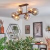 Ripoll Plafondlamp, Kogellampje Amber, Duidelijk, Rookkleurig, 6-lichts