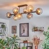 Koyoto Plafondlamp, Kogellampje Amber, Duidelijk, Rookkleurig, 8-lichts