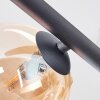 Chehalis Plafondlamp, Kogellampje Amber, Duidelijk, 5-lichts