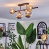 Chehalis Plafondlamp, Kogellampje Amber, Duidelijk, Rookkleurig, 5-lichts