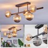 Chehalis Plafondlamp, Kogellampje Amber, Rookkleurig, 5-lichts