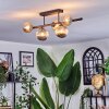 Chehalis Plafondlamp, Kogellampje Amber, Rookkleurig, 5-lichts